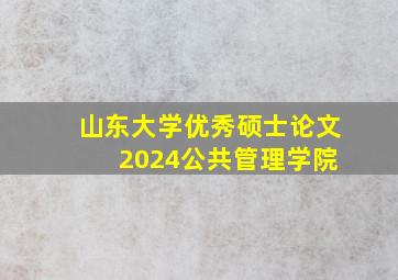 山东大学优秀硕士论文 2024公共管理学院